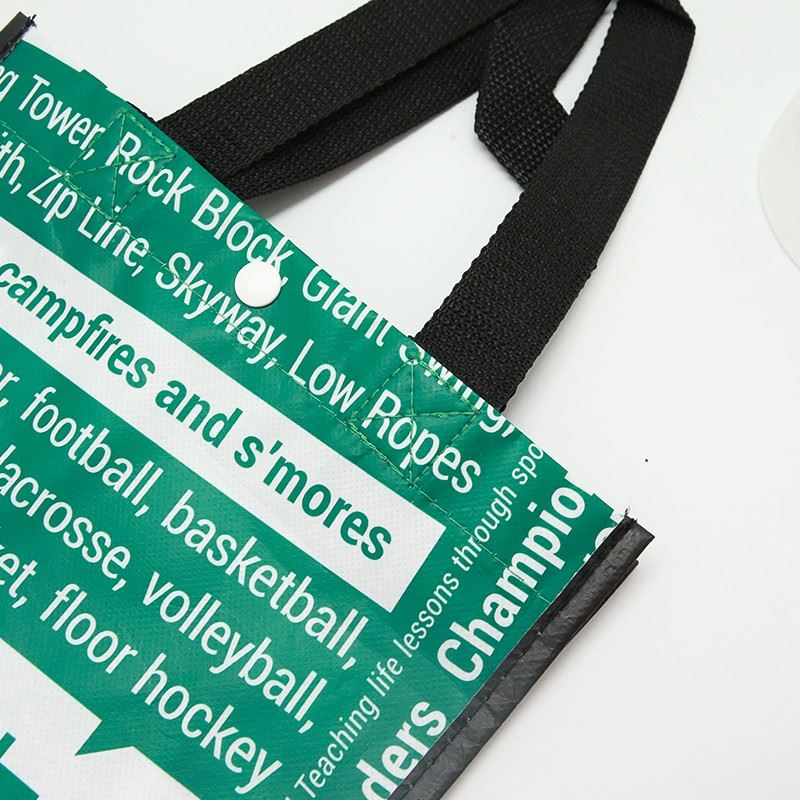 nice Non Woven foldable bag