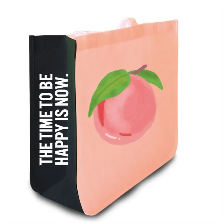 Logo Printing RPET Laminated Bag