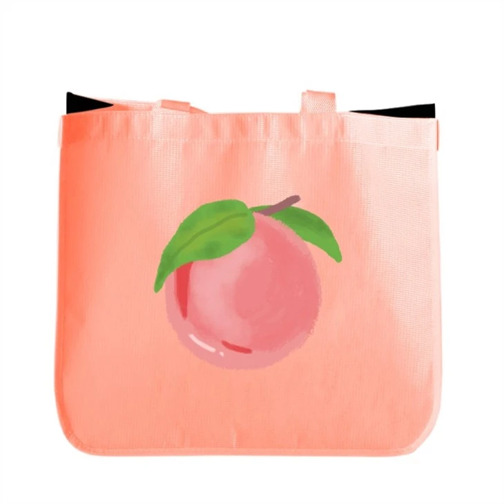 Logo Printing RPET Laminated Bag