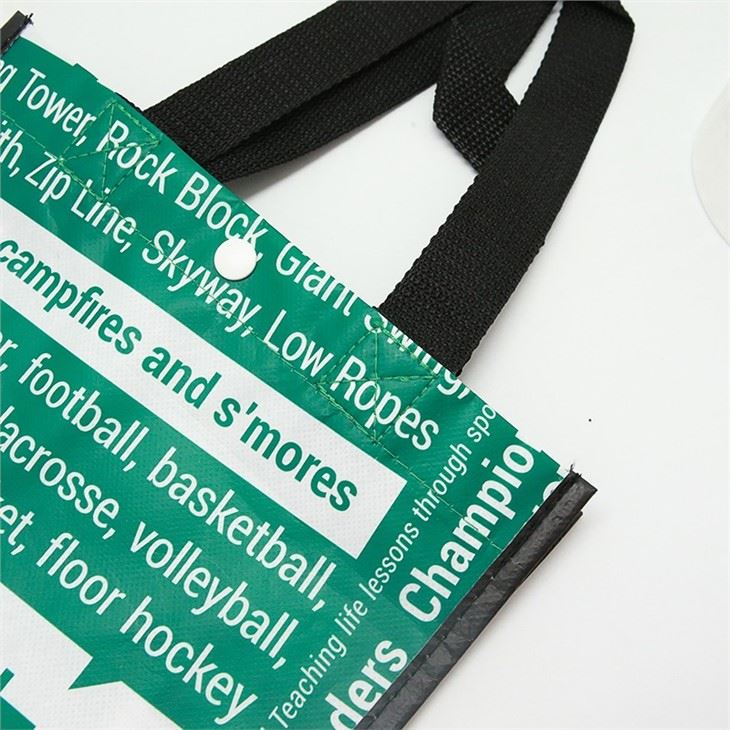 nice Non Woven foldable bag