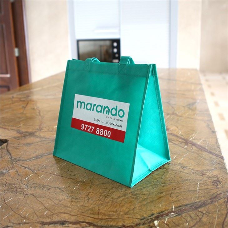 Stylish Non Woven Bags